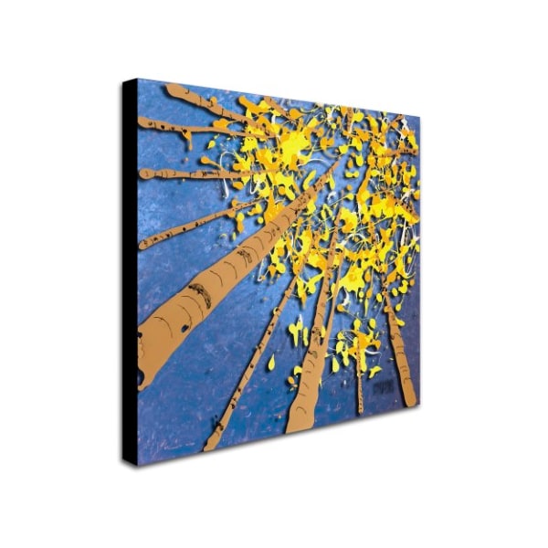 Roderick Stevens 'Aspen Sky' Canvas Art,24x24